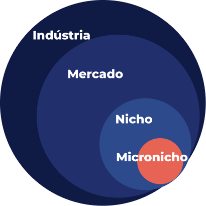 As diferenças entre icronicho, Nicho, Mercado e Indústria