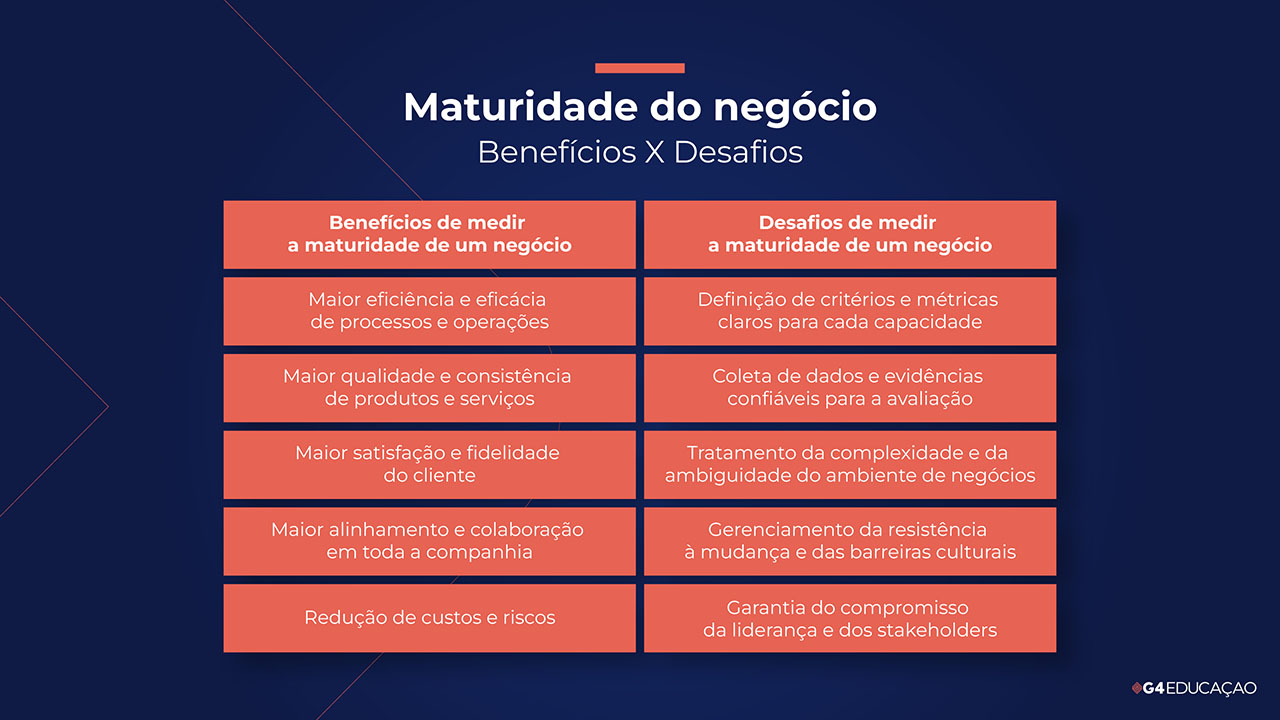 Imagem representativa de Maturidade do Negócio com Benefícios e Desafios